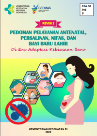 E-Book Pedoman Pelayanan Antenatal Persalinan Nifas dan Bayi Baru Lahir di Era Adaptasi Kebiasaan Baru