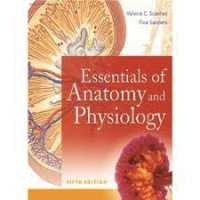 E-Book Essentials of Anatomy and Physiology